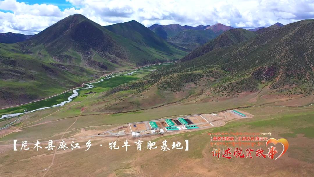 县区长访谈录│尼木县:养猪的乡长,养鸡的县长