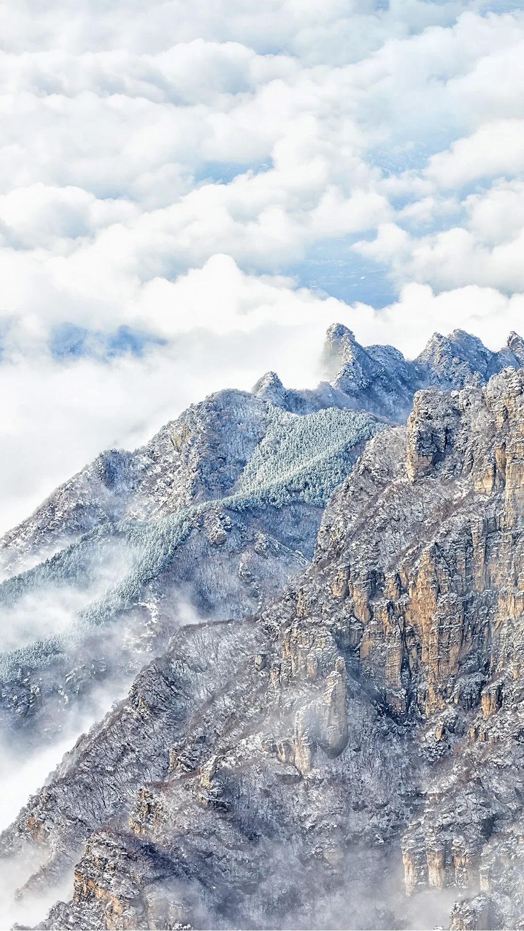 美丽河北 保定冬日ins氛围感雪景壁纸