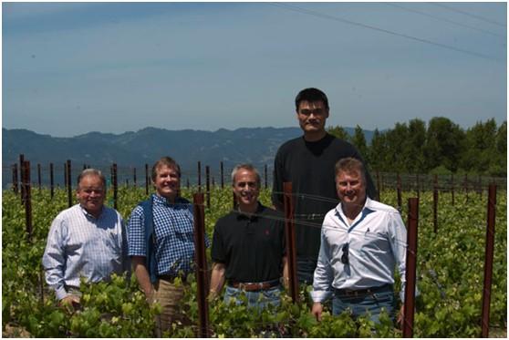 姚氏酒庄:姚明在纳帕谷的酿酒梦