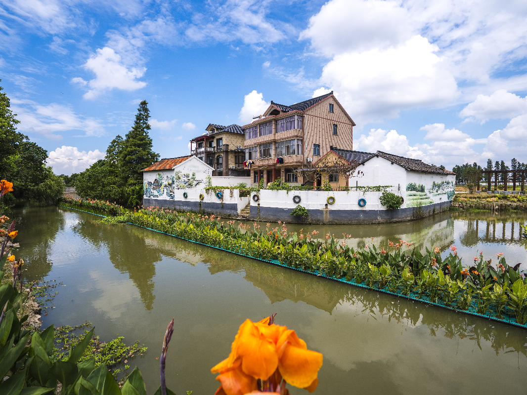 沈荡镇美丽城镇创建"省考"交出高分答卷!