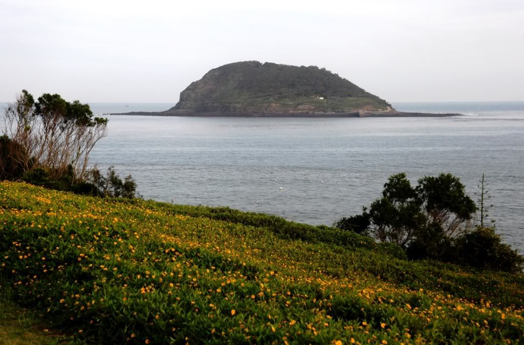 漳浦海边旅游景点推荐图片