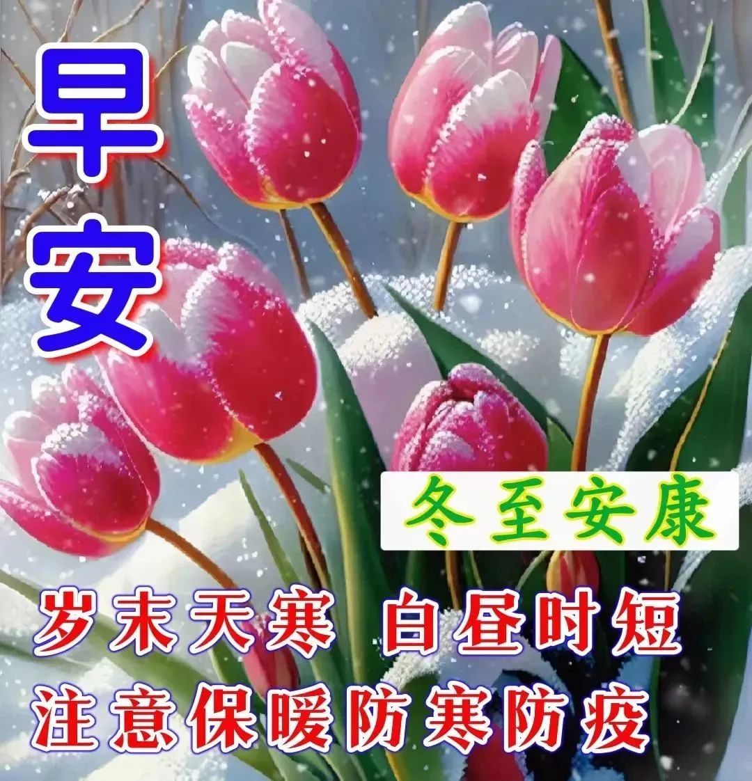 精美冬至节气图片祝福