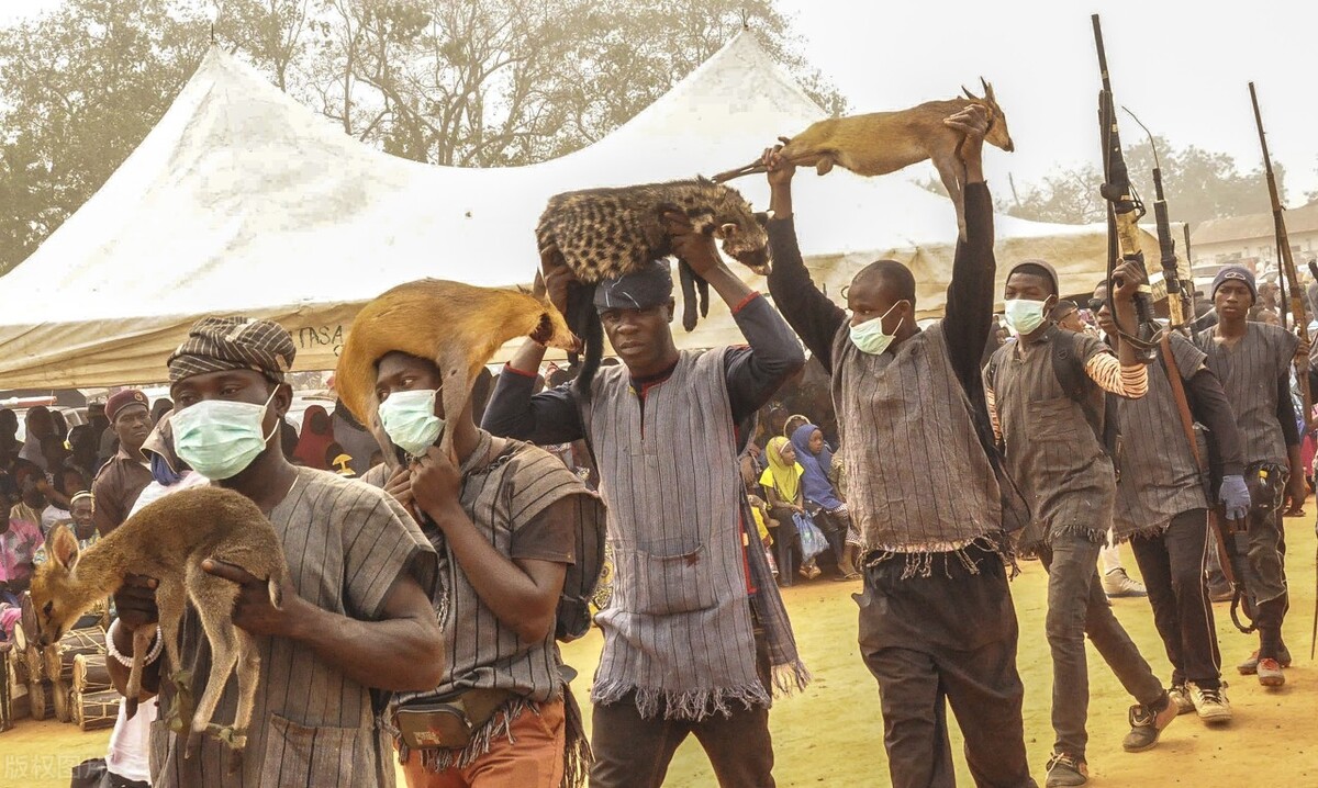 2022非洲杯球队实力概览:西非雄鹰尼日利亚