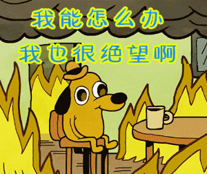 300_252gif 动态图 动图