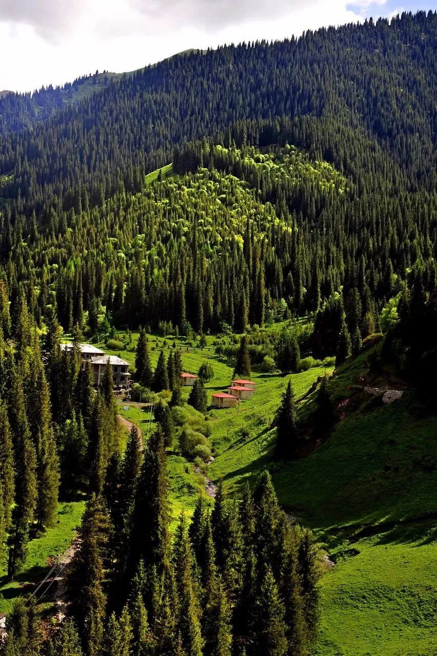 大型"离职宣传片"!错过6,7月的北疆,就错过了最纯粹的夏天!