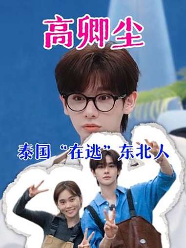 小九在逃东北籍泰国艺人 高卿尘 小九 我家那闺女 井迪 东北女婿