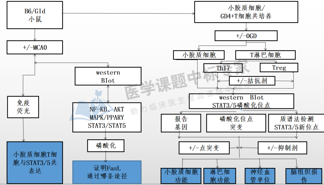 叮!國自然熱點技術路線模板 醫學部3800份中標標書目錄|aier福利