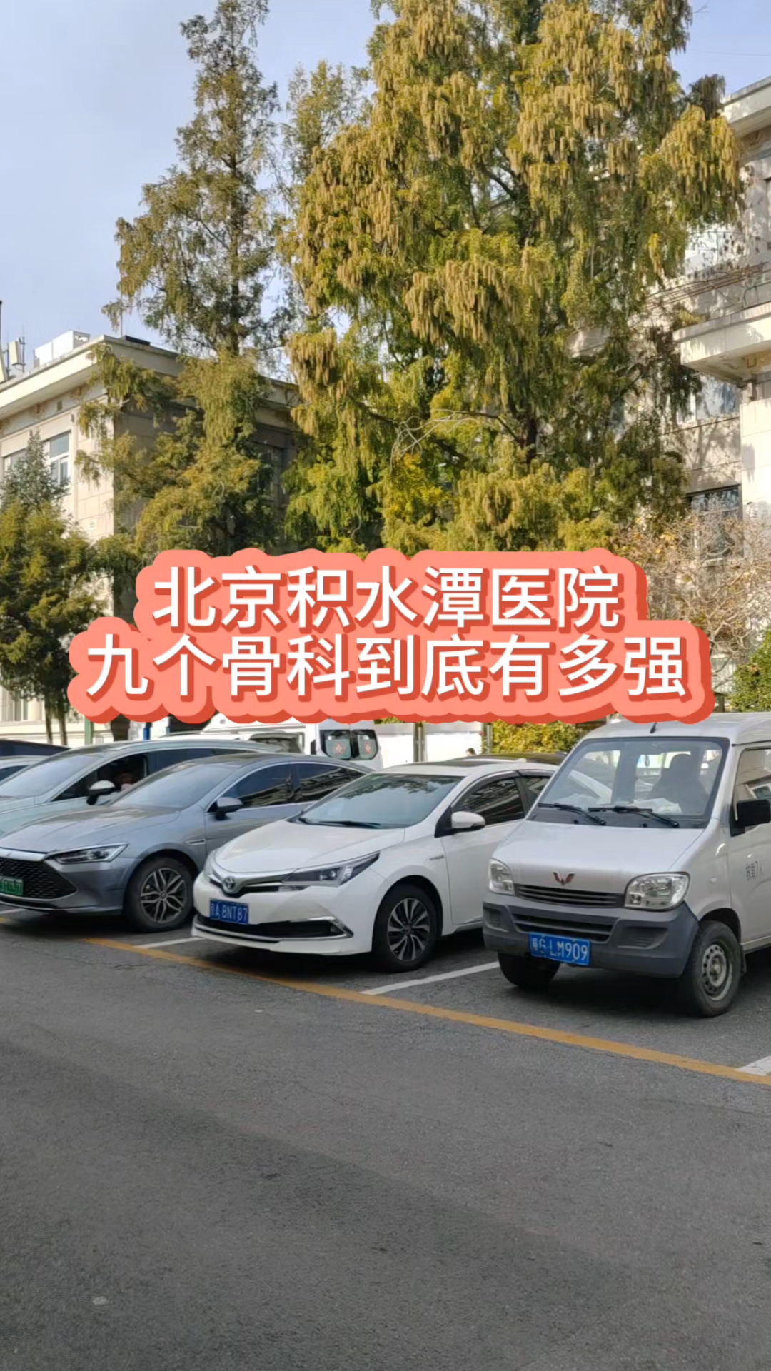 包含北京積水潭醫院、醫院跑腿代辦協助就診號販子一個電話幫您解決所有疑慮的詞條