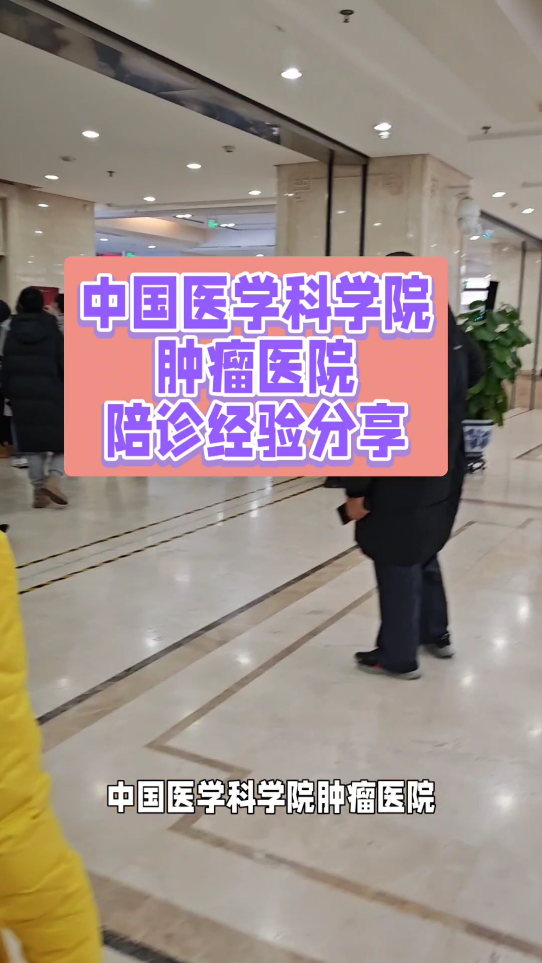 中国医学科学院肿瘤医院预约检查陪诊挂号老人体检全程引导，安稳完成检查的简单介绍