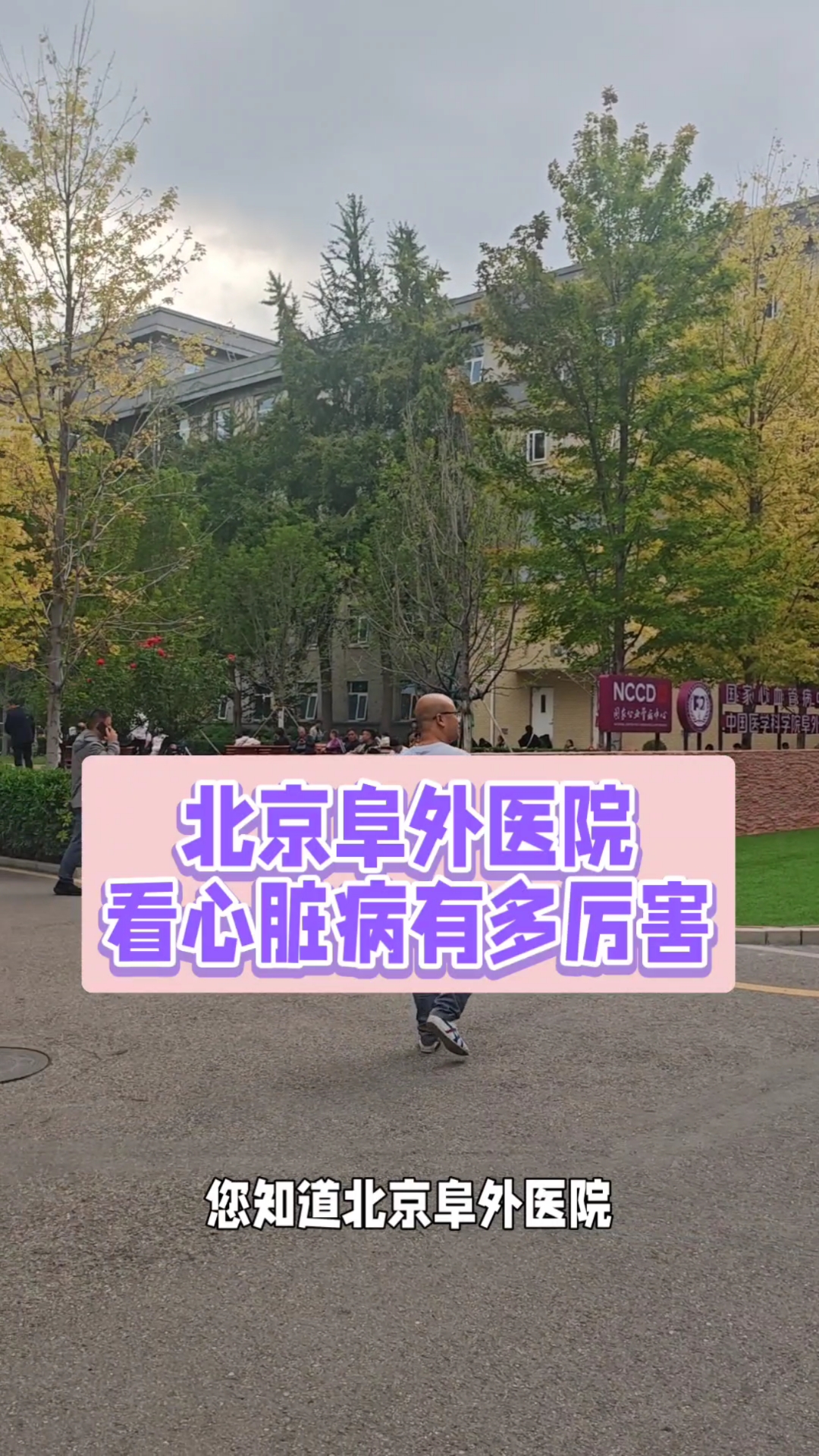 关于阜外医院预约检查陪诊挂号缓解就医焦虑的信息