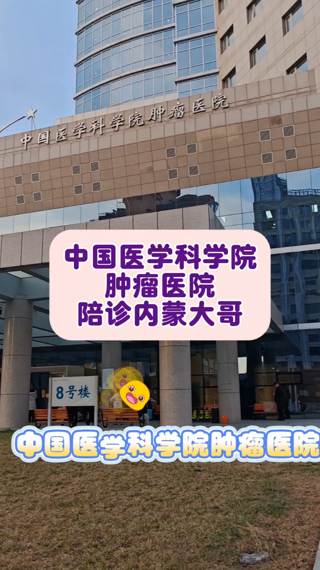包含中国医学科学院肿瘤医院预约检查陪诊挂号缓解就医焦虑的词条
