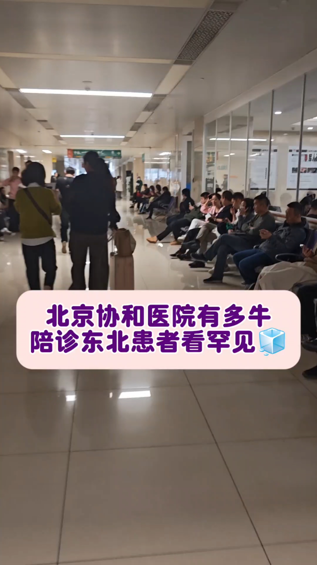 協和醫院陪診代掛號緊急情況快速協調，就醫不耽誤時間的簡單介紹