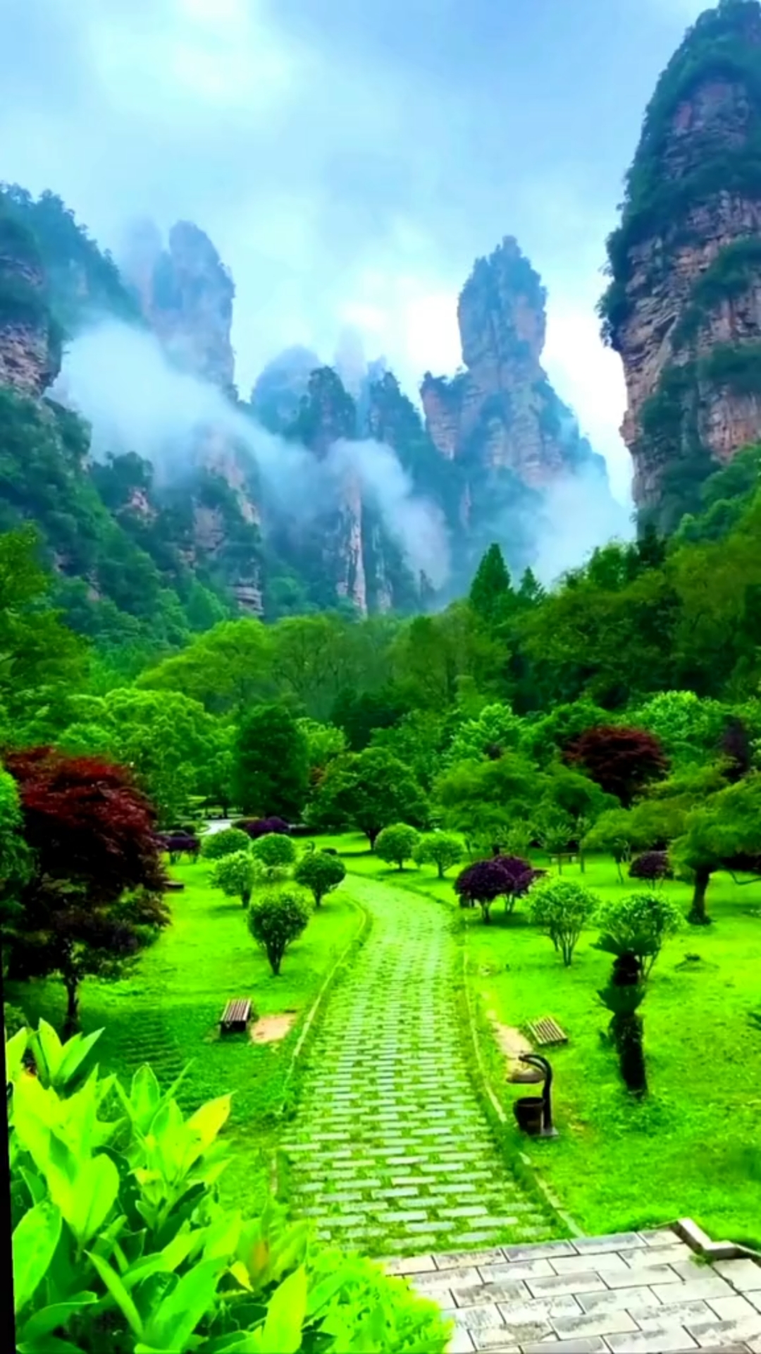 张家界风景 手机壁纸图片