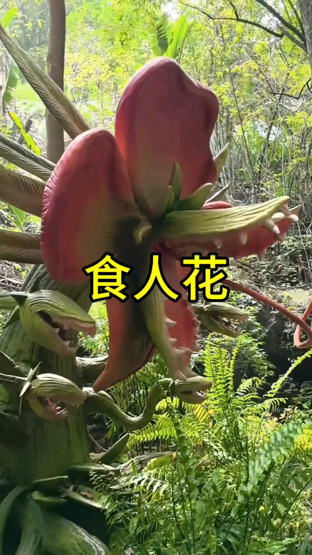 原来食人花长这样啊