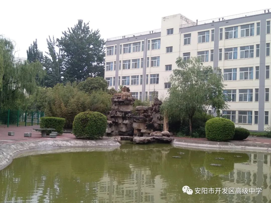 安阳市开发区高级中学举行教师业务能力测试-本地惠生活