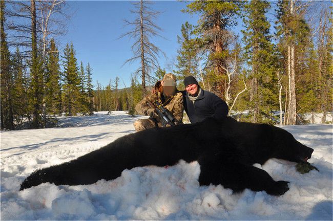 人赤手空拳真的能打死棕熊吗?为什么?