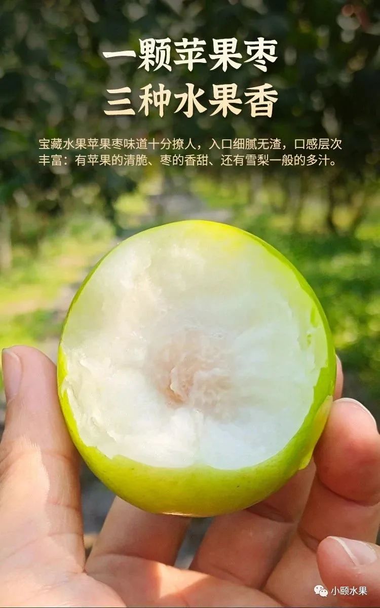 辰颐物语「云南苹果枣」放肆一啃,脆嫩清甜,滑入心坎的舒爽!