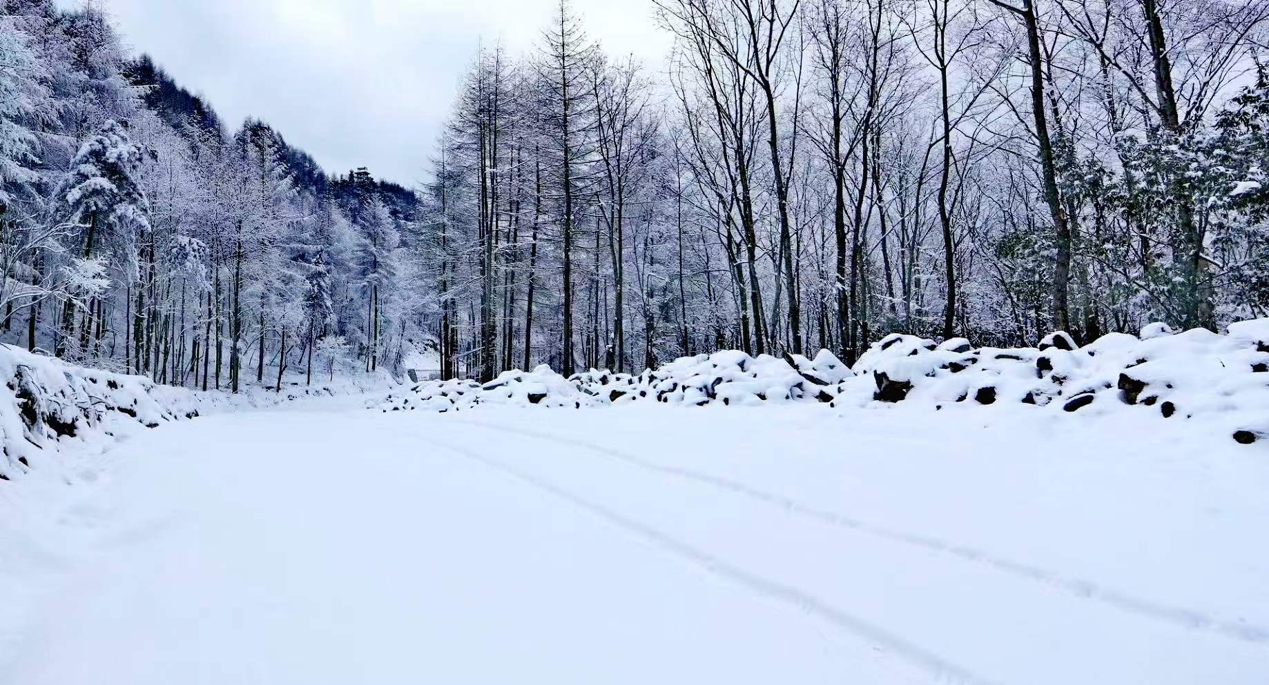 雪淞胜景宛如仙境,曾家山下雪啦,网友:看雪景和过年一样高兴