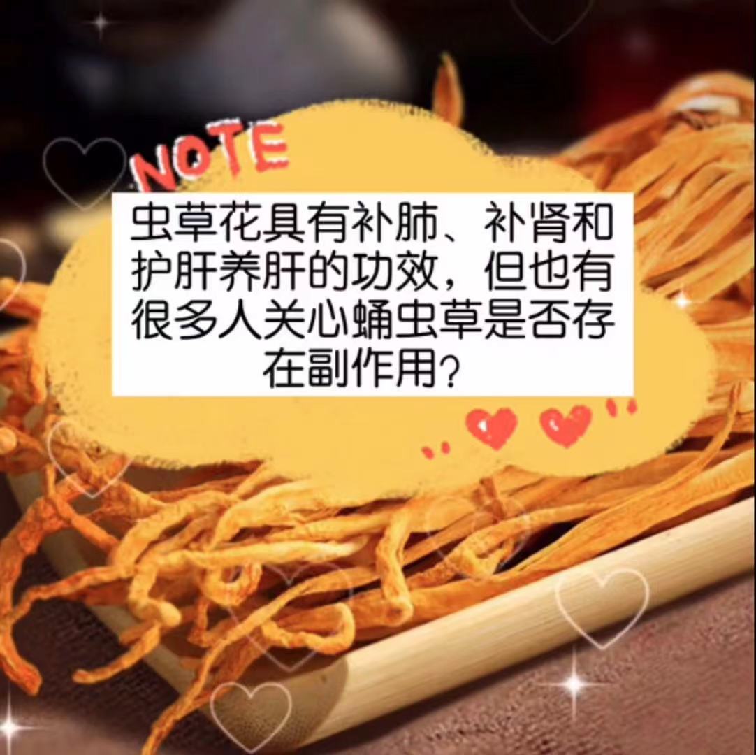 蛹虫草和虫草花的区别在哪?看完你就明白了!
