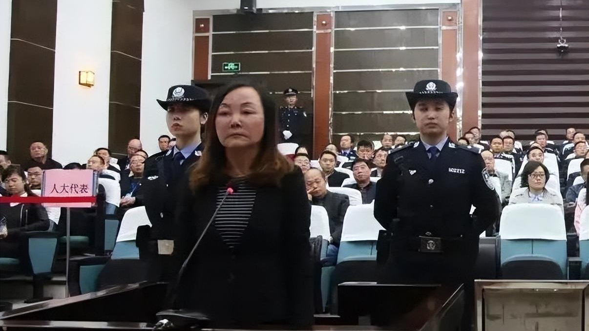 2018年高校院长杜晓阳贪污百万学生资助金沉迷整容篡改年龄