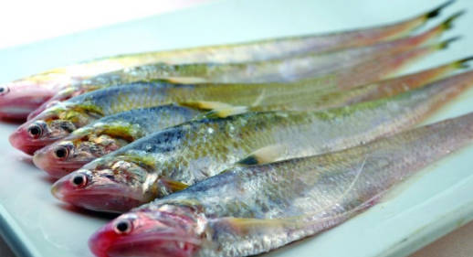 十大名贵淡水观赏鱼排行榜最新