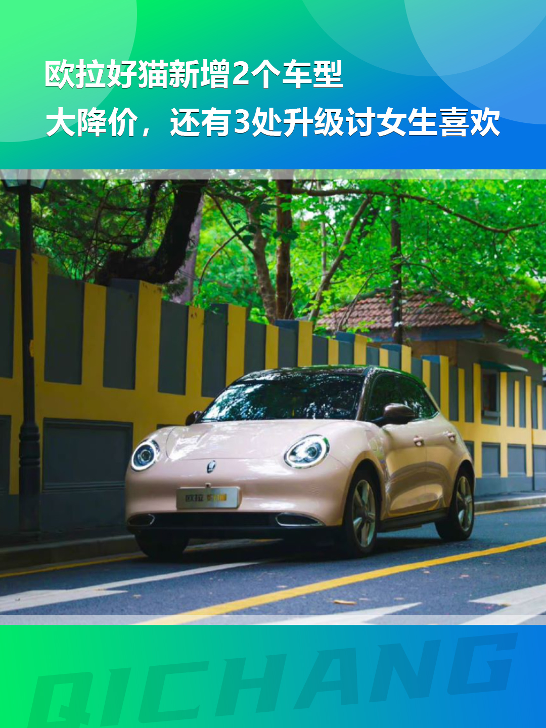 欧卡好猫
