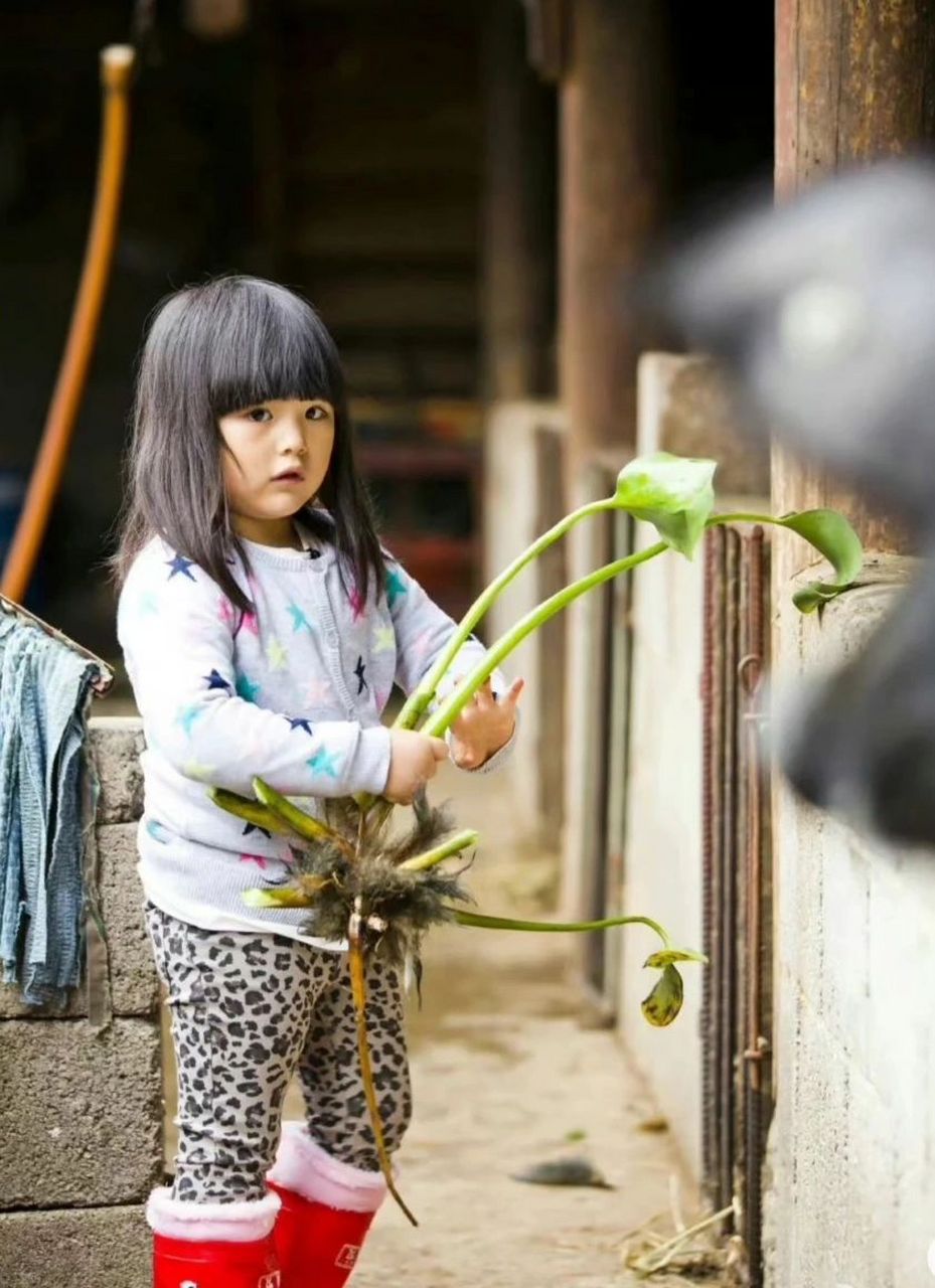 好不舍得王诗龄长大 王诗龄小时候也太可爱啦!