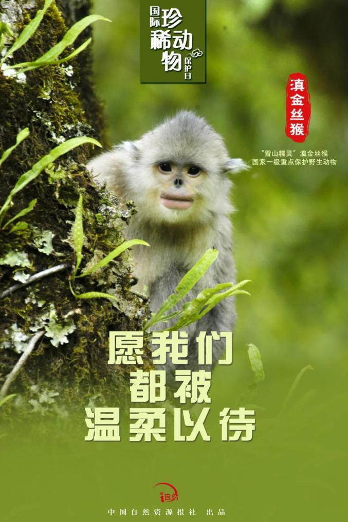 国际珍稀动物保护日|珍稀,珍惜!
