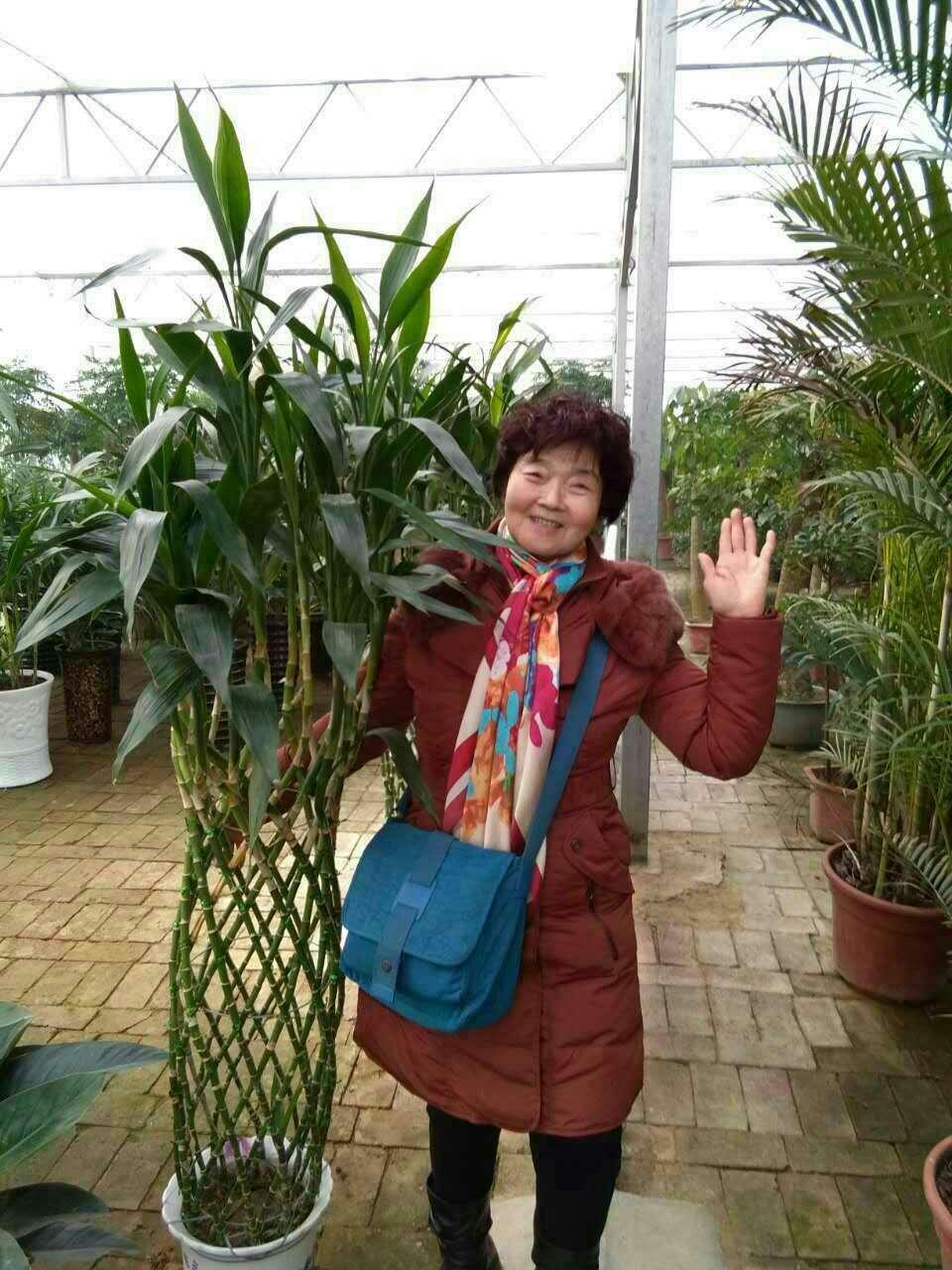 长安"德润三秦"家风故事之十四||孝敬公婆好儿媳梁淑敏