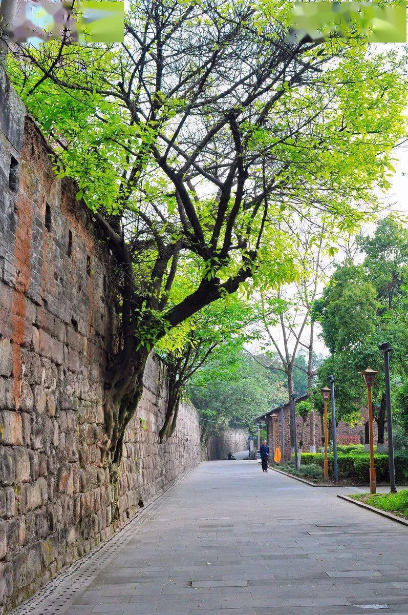 「历史文化」南溪古城文化探析‖涂安华