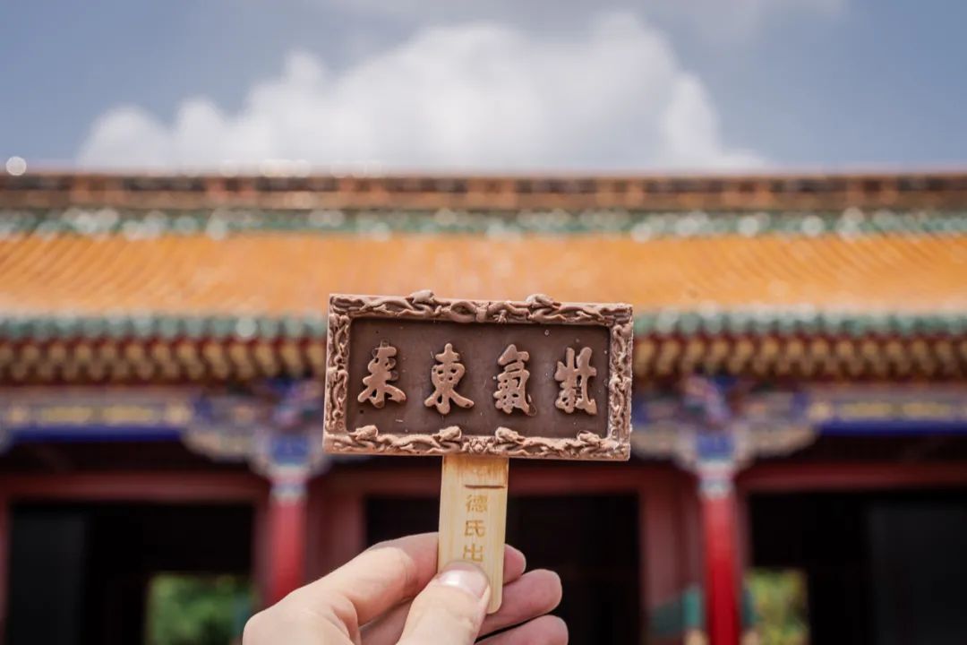 沈阳故宫德氏联名雪糕松露巧克力味 15元/根