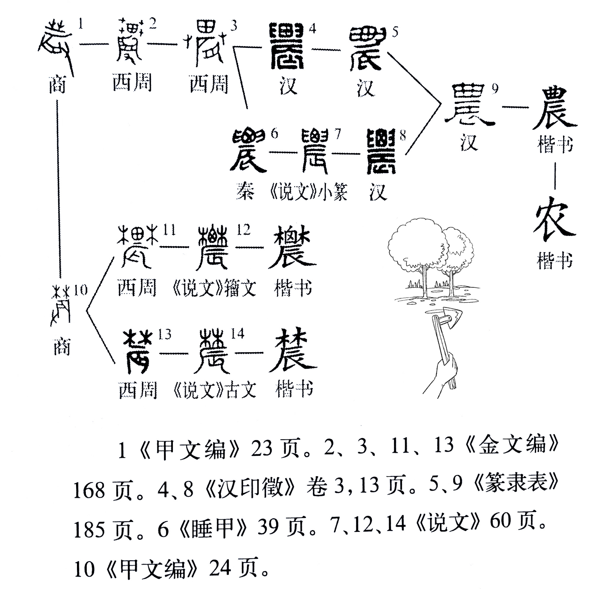 晨字的演变过程图片