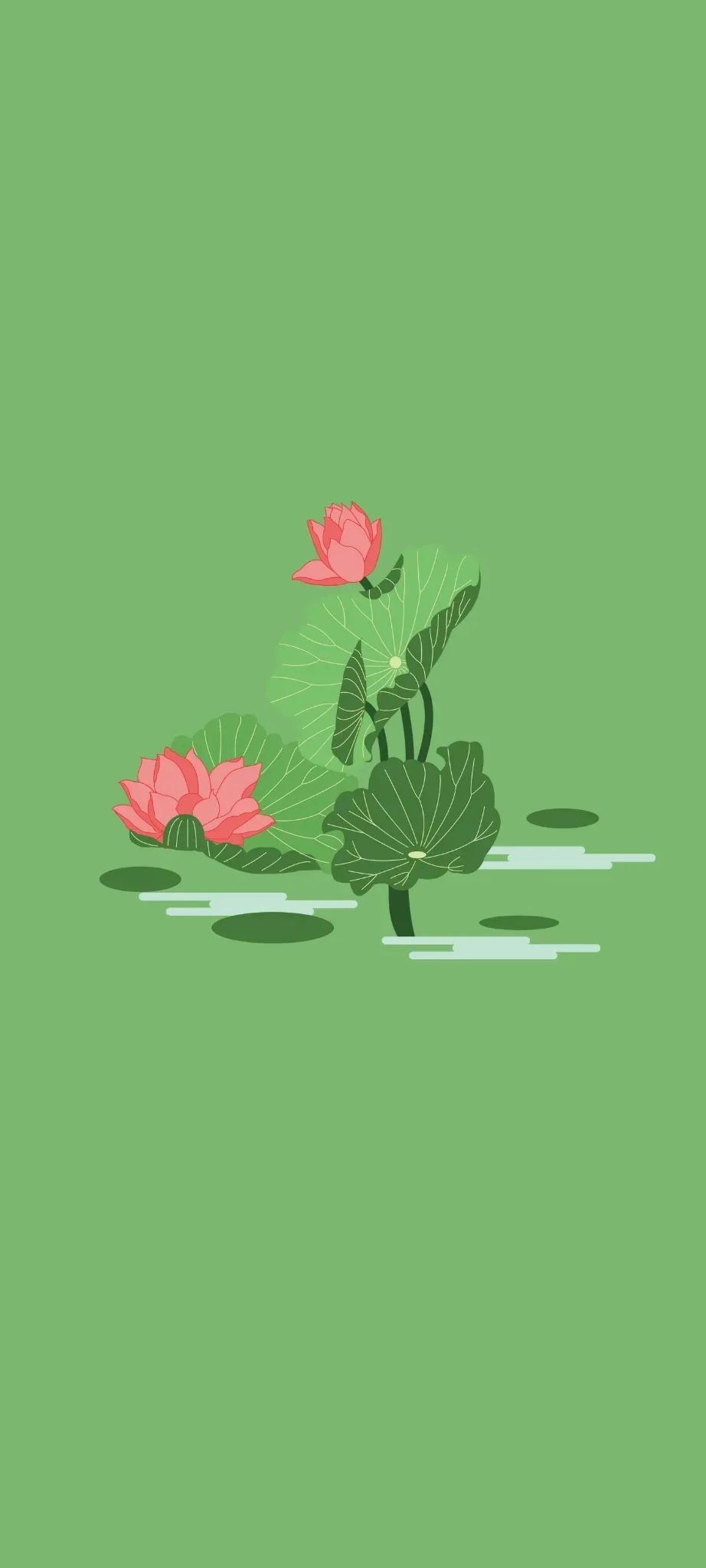 清新绿色护眼荷花壁纸