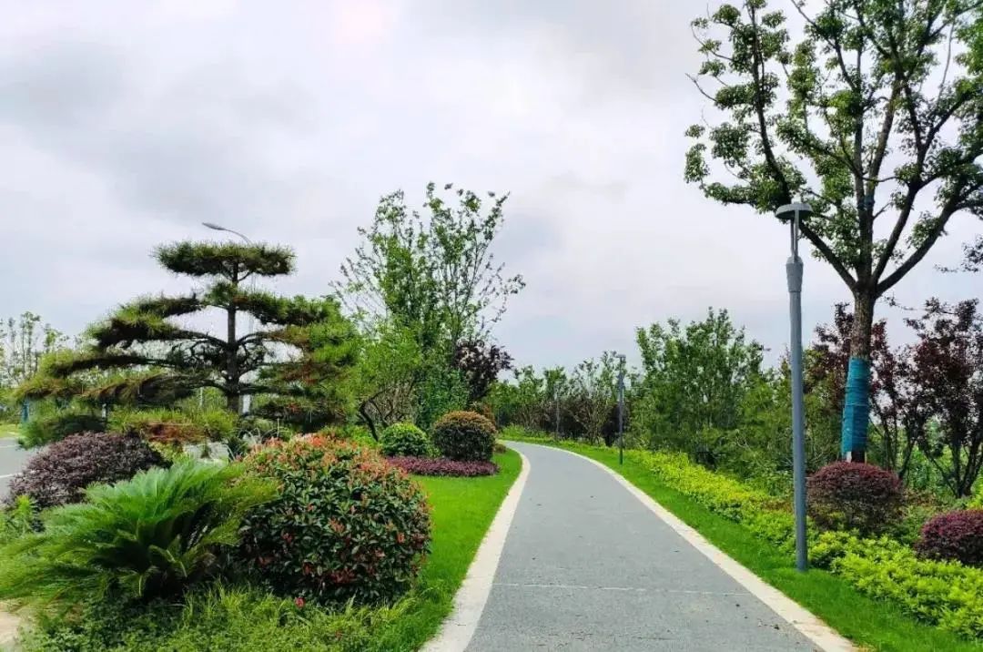 滁州这一景观带正式开放!位置在.