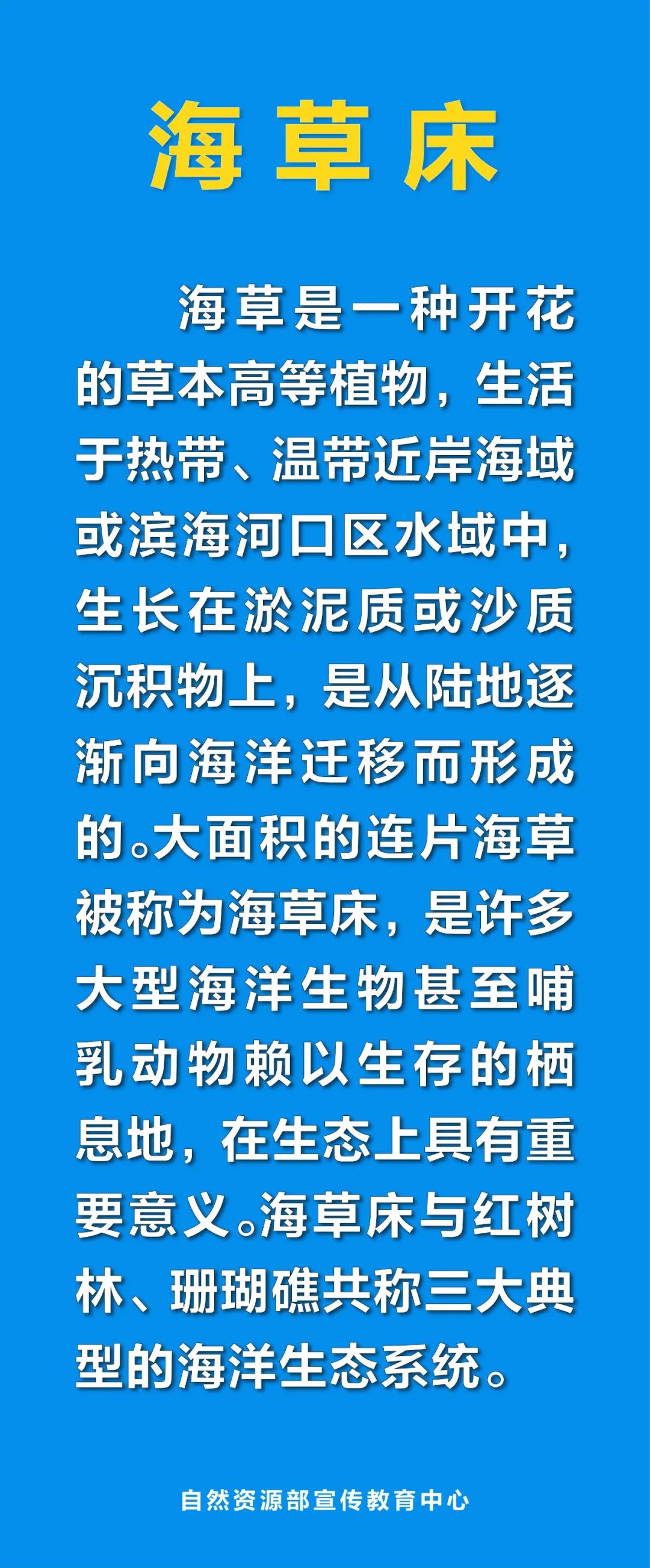 床可以组什么词图片