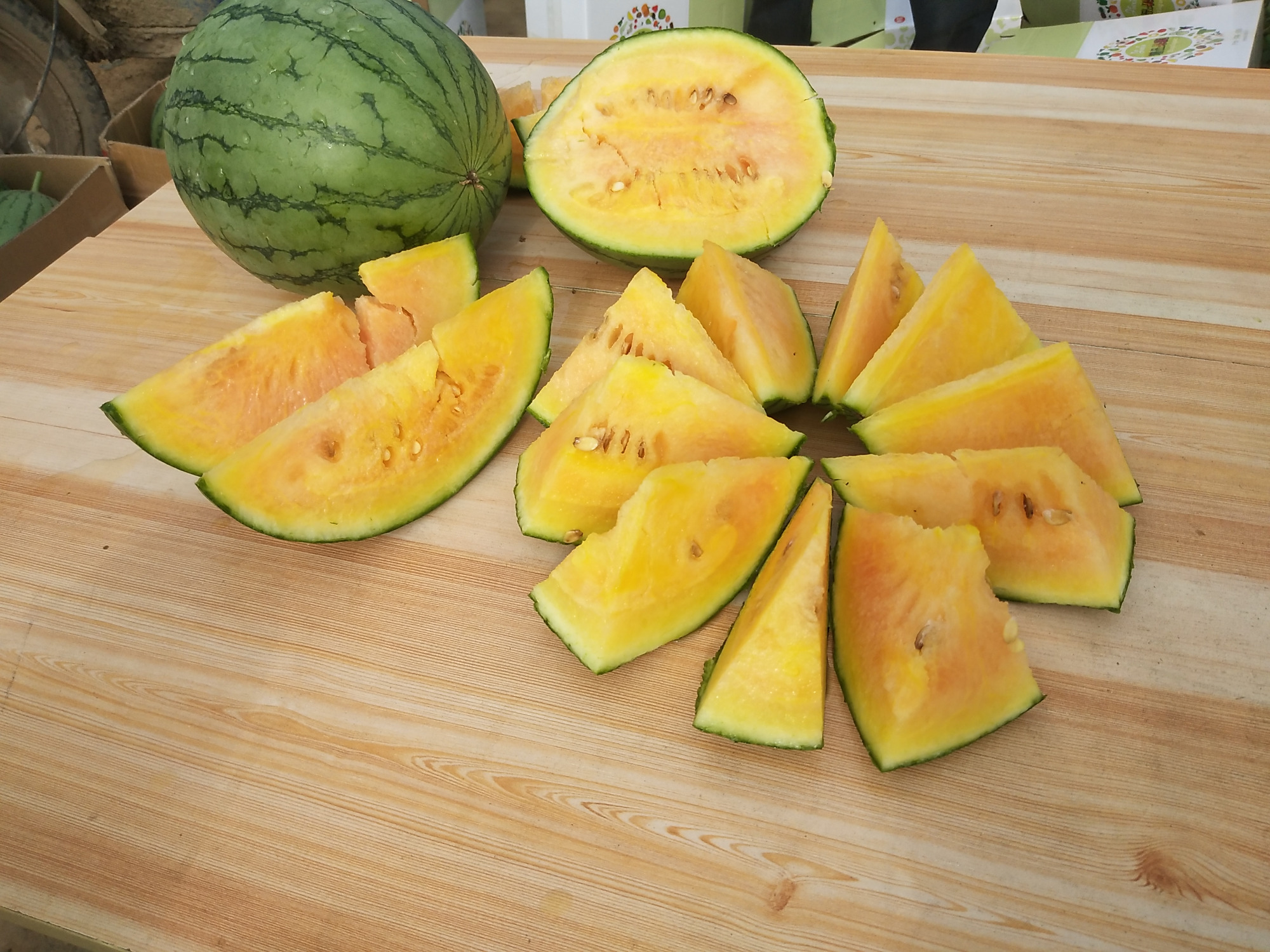 内黄的彩虹西瓜熟了!来认识下