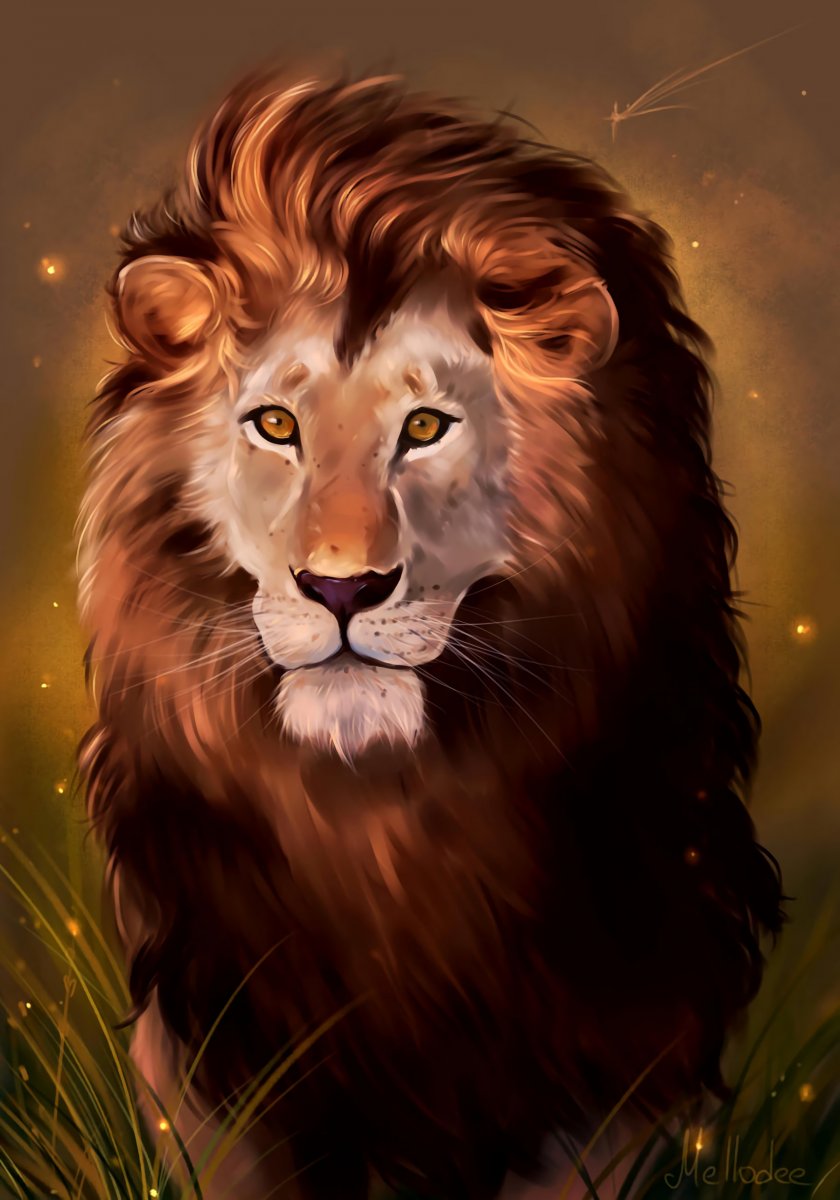 一只狮子的绘画(48张大图)