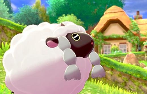《宝可梦》图鉴831:从悬崖上掉下去也不会受伤——毛辫羊