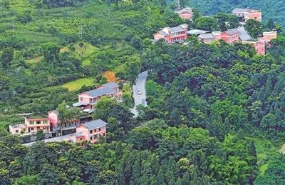 古南街道花壩村,通惠街道橋壩村,東溪鎮福林村,趕水鎮雙龍村,打通鎮吹