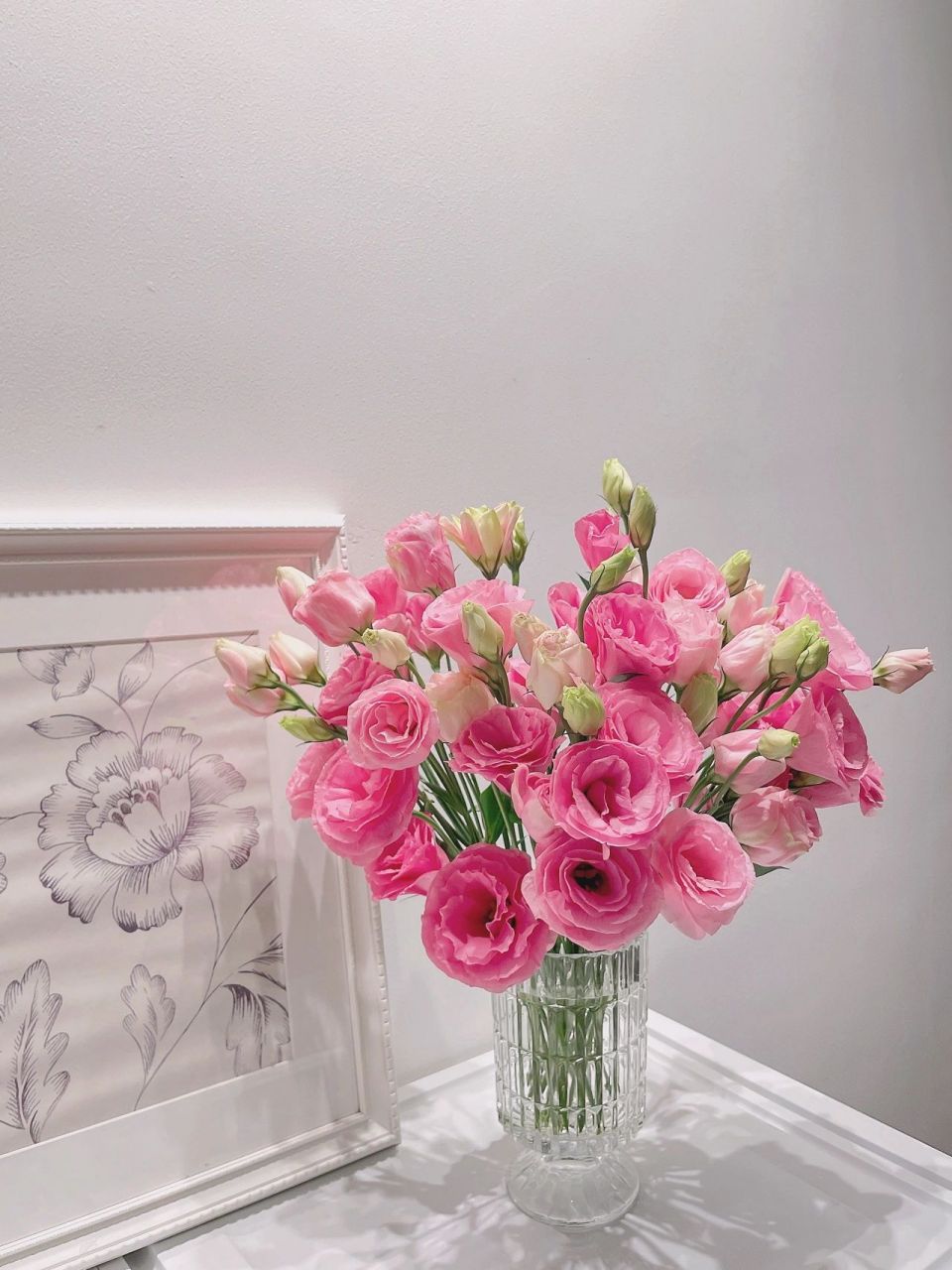 网购鲜花·基地出品胖粉普通粉洋桔梗 美吗 美吗 美吗?