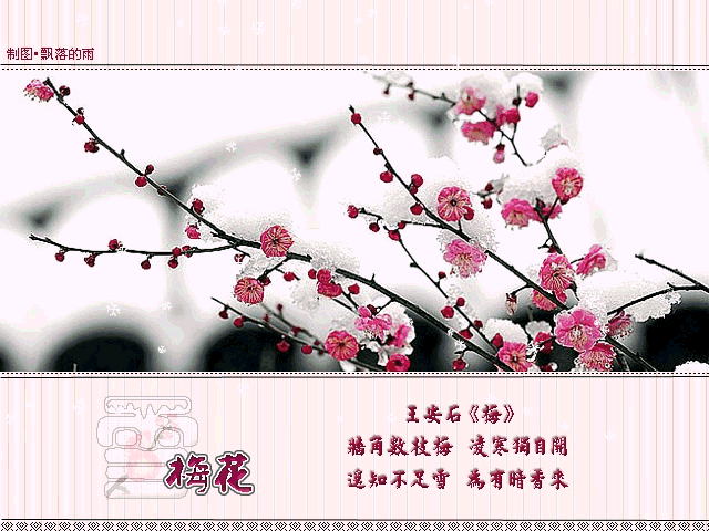 遥知不是雪为有暗香来青年法官在员额制改革中该何去何从