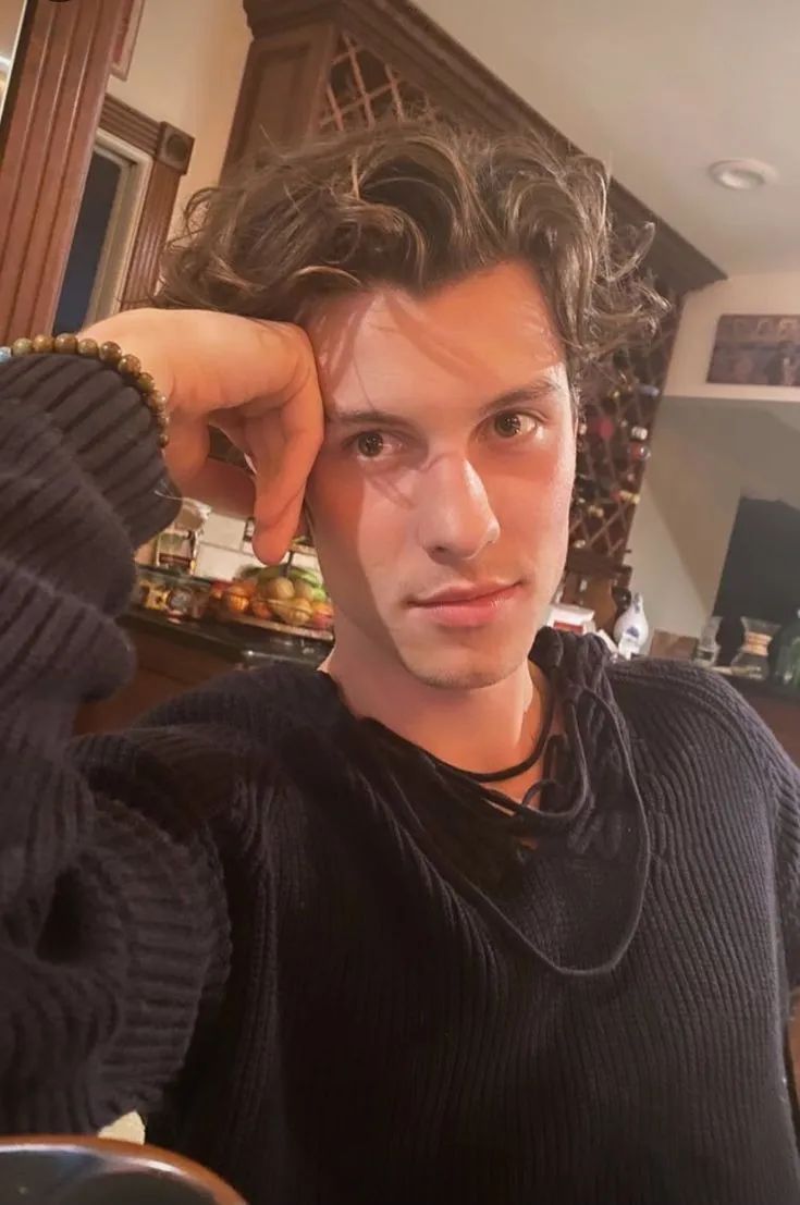 肖恩·门德斯颜值回春,超跌反弹!