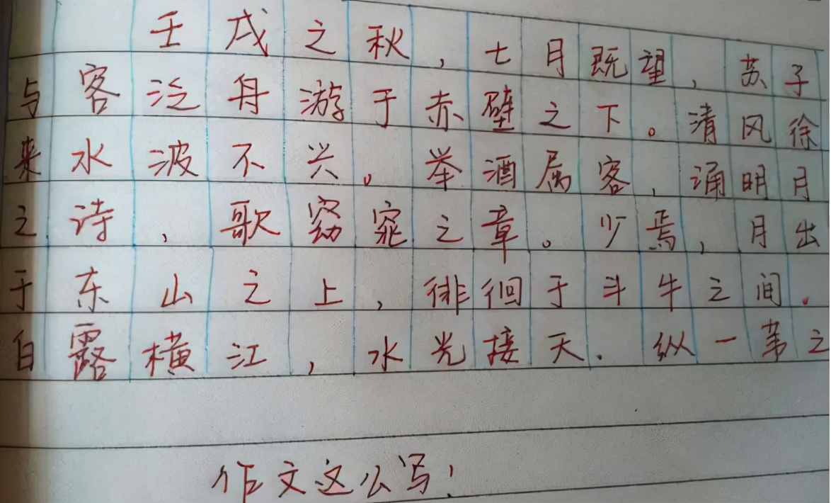 高中生"蚂蚁字体"火了,密密麻麻整齐排列,老师看了却眉头紧皱