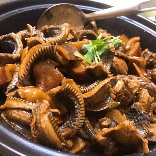 广东焖猫肉图片