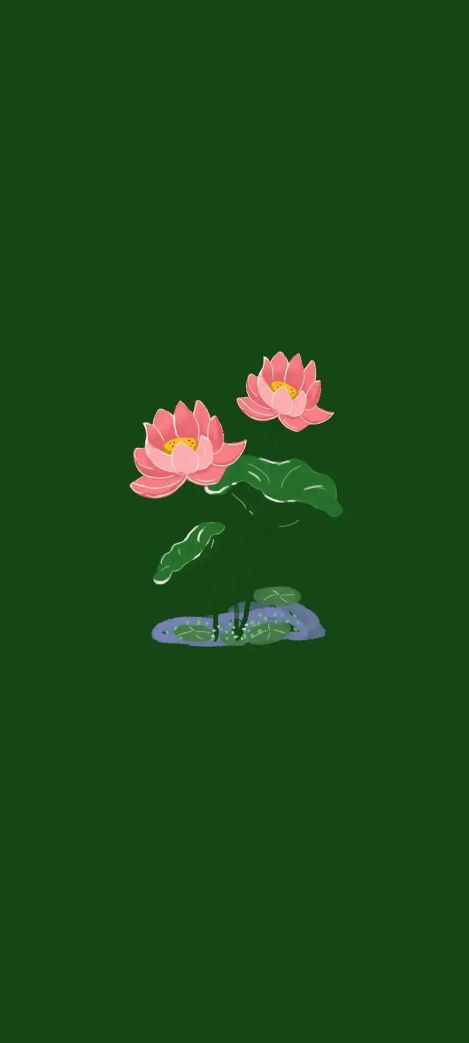 清新绿色护眼荷花壁纸