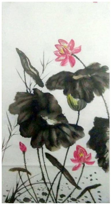 中国书画百杰名人——明新农