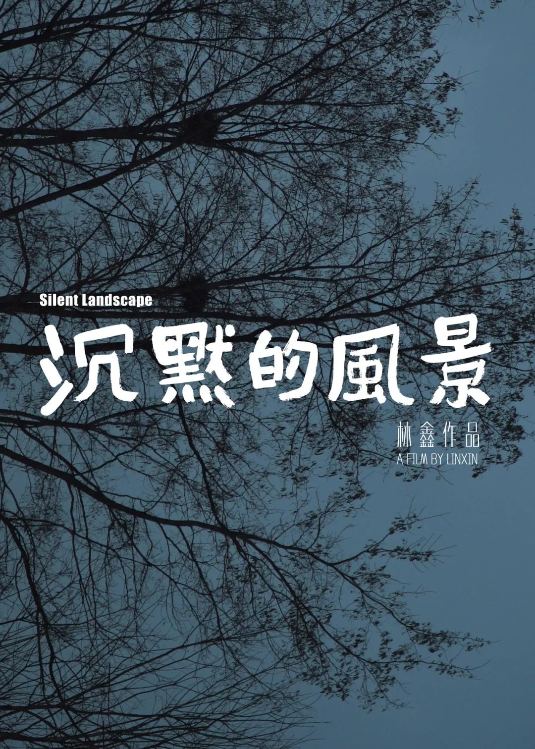 林鑫,黎小锋,高子鹏,王小鲁:线上论纪录片《沉默的风景》