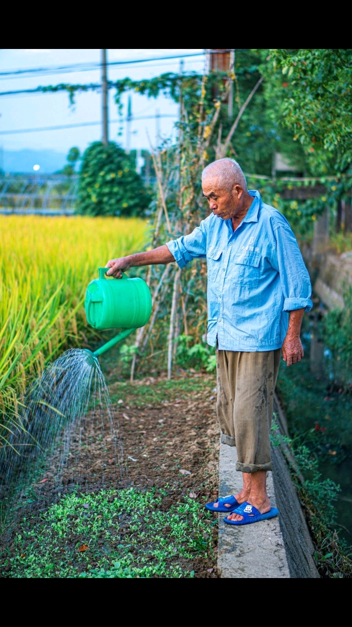 秋风爽爽,农民伯伯忙碌的一天