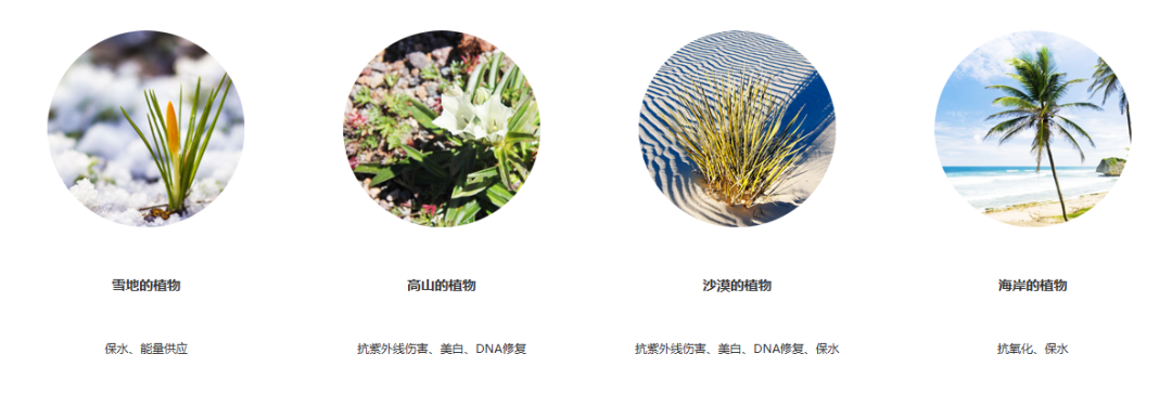 关于植物干细胞是什么,你了解多少?