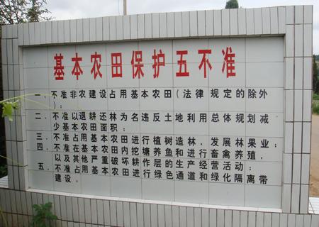 基本农田保护法实行前种的果树,现在这些果树还合法吗?